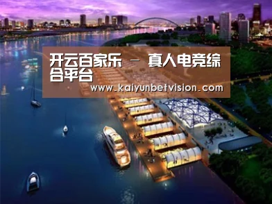 案例展示八