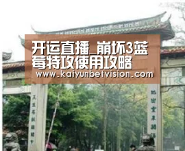 开运真人