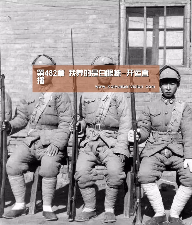 第482章 我养的是白眼蛛-开运直播(图2) 开运体育