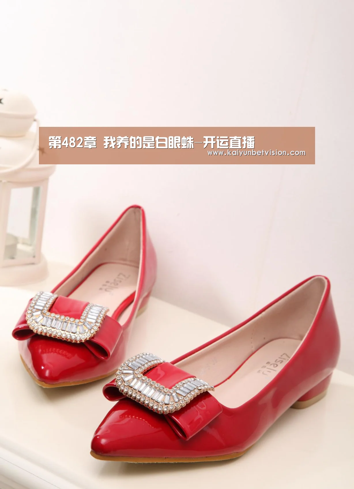 第482章 我养的是白眼蛛-开运直播(图3) 开运真人